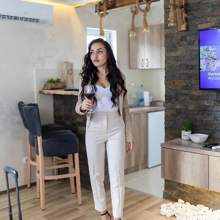 Rustic Luxury - Centre Bid Zone Apartment Valjevo